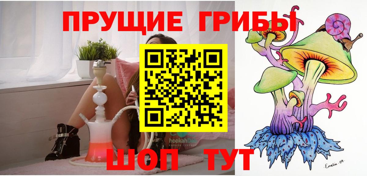 Псилоцибиновые грибы прущие грибы  Вход с VPN  Галлюциногенные грибы Psilocybe  Кудымкар 